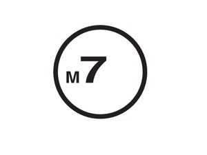 MINI M7 Speed Large 22" Decals | Gloss Black | Set Of 2