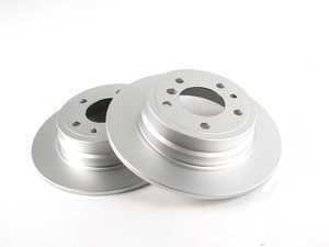 Rear Brake Rotors - Pair (300x10)