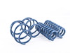 Dinan Performance Spring Set D100-0909 View 2