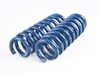 Dinan Performance Spring Set D100-0909 View 3