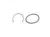 FTP Motorsport FTP Motorsport Charge Pipe Replacement C Clip/O-ring - N54/N55 SG71312FG-9 View 1