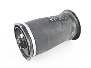 Rear Air Spring - Priced Each