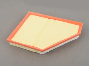 Hengst Air Filter - Left - E70