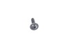 Genuine MINI SCREW, THERMOPLASTIC PLASTIC 51162755697 View 1