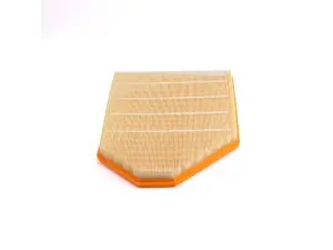 Mahle Air Filter - F25, F26