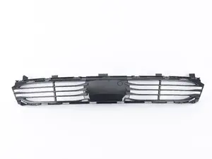 Grill - Air Intake - Center - G11