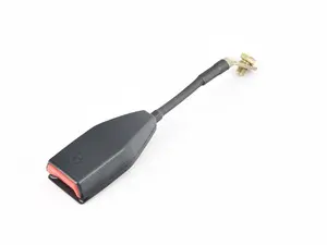Genuine BMW Lower Strap, Front - 72111941557