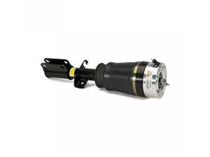 Arnott Air Strut Assembly - E53