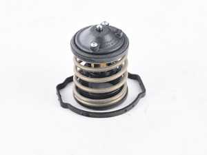 Mahle-Behr Thermostat - F10, F15, F30, F31