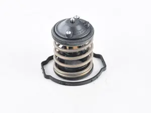 Mahle-Behr Thermostat - F10, F15, F30, F31