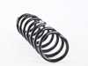 Genuine BMW Genuine BMW Rear Coil Spring 33536794660 View 3