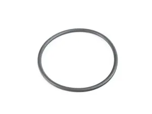 Genuine BMW O-Ring - 13717636959 - F10