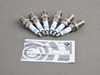 Packaged by Turner High-Performance Ignition Service Kit - BMW M54, (Early Models) M52 M54PISKT View 3