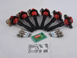 High-Performance Ignition Service Kit - BMW M54, (Early Models) M52