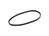 Continental Conti Tech Accessory Belt - Air Conditioning Compressor - E60, E65, E66 11287631822 View 2