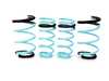 GODSPEED Traction-S Springs R60 LS-TS-MC-0003 View 1