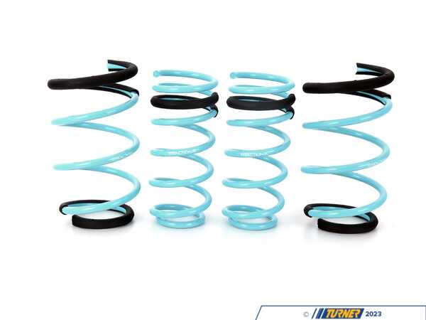 GODSPEED Traction-S Springs R60 LS-TS-MC-0003