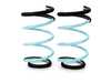 GODSPEED Traction-S Springs R60 LS-TS-MC-0003 View 3
