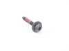 Genuine MINI Genuine MINI Countersunk Screw - 07119908719 07119908719 View 1