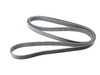 Continental Continental Multi Rib Belt - 6 Pk 2155 - E46 4060850 View 1