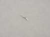 Genuine MINI CONTACT PIN MQS 61131392234 View 1