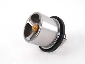 Genuine BMW Thermostat - 79ºC - E52 Z8 E39 M5