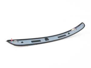 RIGHT REAR MOULDING