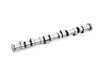 Cat Cams MINI R50 to R53 Turbo Conversion Camshaft Single 296/278 - 236/224 - 10.80mm/8.50mm - 1.00mm/1.00mm 1302466 View 1