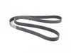 Continental Continental Accessory Belt - F06, F10, F12, F13 11287843246 View 1