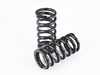 BC Racing BC Racing DS Series Coilover Kit - E39 525i 528i 530i 540i Sedan I-06-DS View 18