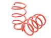 AST Suspension  Lowering Springs Set - F54 MINI Clubman Cooper S ASTLS-17-074 View 2
