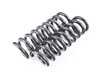 Eibach Eibach Pro-Kit Performance Springs -  E10-20-036-01-22 View 2