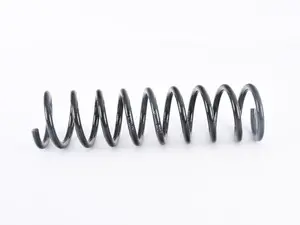 Rear Spring - Priced Each