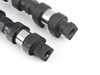 Schrick Schrick Camshaft Set - E46 323/328 M52TU - 248/248 E46M52TUSCHRICK View 2