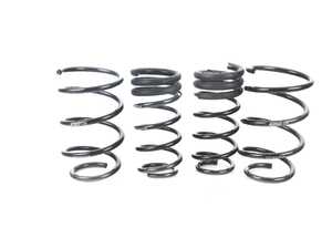 Pro-Kit Performance Springs R56