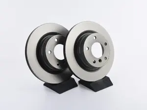 Rear Brake Rotors - Pair (300x20)