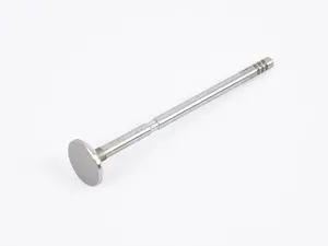Exhaust Valve - Priced Each