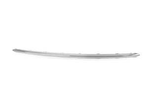 TRIM STRIP, BUMPER,