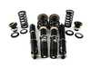 BC Racing BC Racing DS Series Coilover Kit - E39 525i 528i 530i 540i Sedan I-06-DS View 17