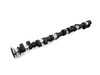 Schrick Schrick Exhaust Camshaft - E46 M3, MZ3, MZ4 (S54) - 296 Degree, 14.0mm Lift 0415A1960-01 View 1