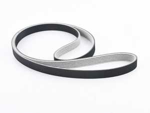 Accessory Belt