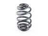 Lesjofors Lesjofors Rear Spring - E83 X3 4208450 View 1