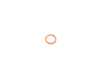 Genuine BMW Genuine BMW Gasket Ring - 07119963042 - E34,E39 M5,E60 M5,E63 M6 07119963042 View 1