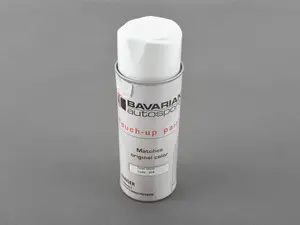 Touch Up Paint - 12 oz Spray Can - Color Code 354 - Titanium Silver