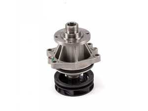 Water Pump and Seal - Saleri
