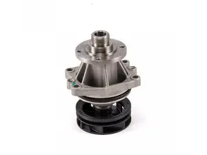 Water Pump and Seal - Saleri