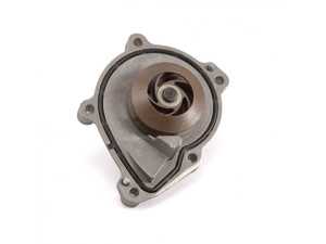 Water Pump and Gasket - Saleri