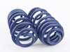 H&R H&R Sport Spring Set - E70 X5 / E71 X6 - WITHOUT Self Leveling 50435 View 3