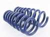 H&R H&R Sport Spring Set - E70 X5 / E71 X6 - WITHOUT Self Leveling 50435 View 4