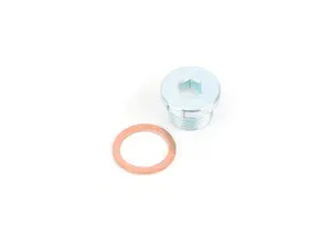 Oil Drain Plug With Sealing Ring 